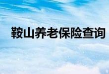 鞍山养老保险查询 鞍山个人养老保险查询