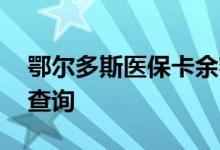 鄂尔多斯医保卡余额查询 鄂尔多斯医疗保险查询