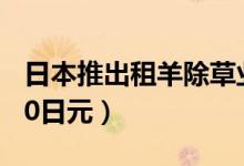 日本推出租羊除草业务（租赁一只羊每月4950日元）