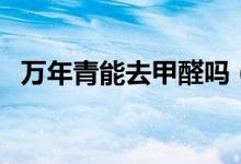 万年青能去甲醛吗（什么东西能吸收甲醛）