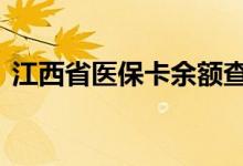 江西省医保卡余额查询 江西省医疗保险查询