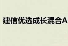 建信优选成长混合A（530003）持有人结构
