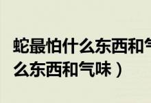 蛇最怕什么东西和气味蛇怕什么花（蛇最怕什么东西和气味）