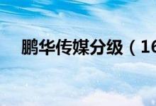 鹏华传媒分级（160629）利润情况查询