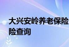 大兴安岭养老保险查询 大兴安岭个人养老保险查询