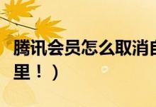 腾讯会员怎么取消自动续费（取消的方式在这里！）