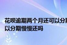 花呗逾期两个月还可以分期还吗 花呗逾期后还了后面的还可以分期慢慢还吗