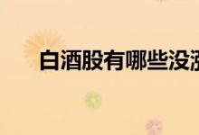 白酒股有哪些没涨 白酒股有哪些股票 