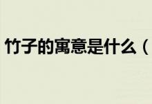 竹子的寓意是什么（竹子的寓意是什么意思）
