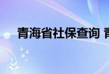 青海省社保查询 青海省个人社保卡查询