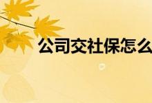 公司交社保怎么交的 社保怎么查询 
