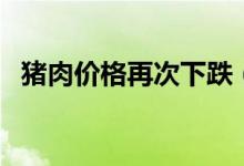 猪肉价格再次下跌（未来猪肉价格的走势）