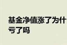 基金净值涨了为什么还亏损 基金净值下降是亏了吗