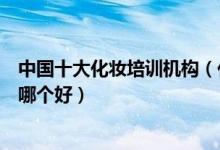 中国十大化妆培训机构（化妆培训学校排行榜学化妆的学校哪个好）