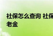 社保怎么查询 社保要交多少年才可以领取养老金 