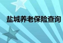 盐城养老保险查询 盐城个人养老保险查询