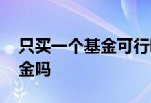 只买一个基金可行吗 同一行业只要买一支基金吗