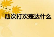 动次打次表达什么（动次打次网语的意思）