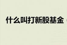 什么叫打新股基金（打新股基金认购流程）