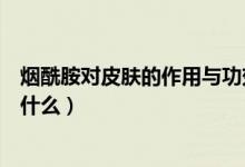 烟酰胺对皮肤的作用与功效（烟酰胺对皮肤的作用与功效是什么）