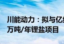 川能动力：拟与亿纬锂能等设合资公司投建3万吨/年锂盐项目