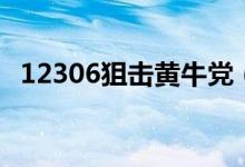 12306狙击黄牛党（抢票软件越来越难做）