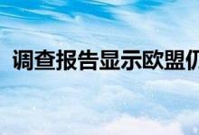 调查报告显示欧盟仍是俄化石能源最大买家