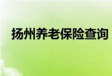 扬州养老保险查询 扬州个人养老保险查询