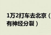 1万2打车去北京（花费上万元打车家属称其有神经分裂）