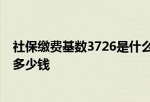 社保缴费基数3726是什么档次 交15年退休后领退休金能领多少钱 