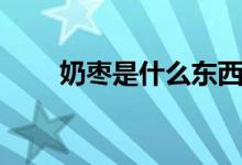 奶枣是什么东西（奶枣是啥样子的）