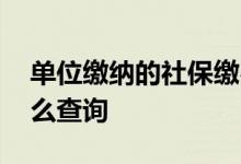单位缴纳的社保缴费比例是多少 单位缴纳怎么查询 