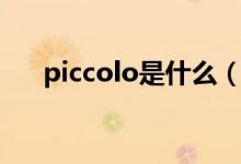 piccolo是什么（piccolo是什么乐器）