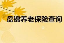 盘锦养老保险查询 盘锦个人养老保险查询