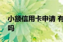 小额信用卡申请 有小额贷款可以申请信用卡吗