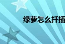 绿萝怎么扦插（绿萝如何扦插）