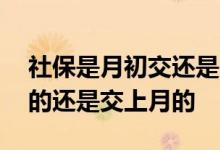 社保是月初交还是月末交 社保是当月交当月的还是交上月的 