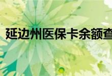 延边州医保卡余额查询 延边州医疗保险查询