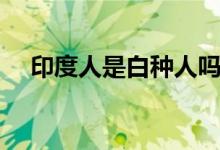 印度人是白种人吗（印度人是什么人种）