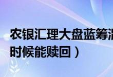 农银汇理大盘蓝筹混合基金怎么样（基金什么时候能赎回）