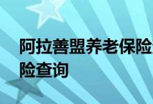 阿拉善盟养老保险查询 阿拉善盟个人养老保险查询