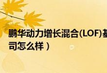 鹏华动力增长混合(LOF)基金2020年利润如何（它的基金公司怎么样）