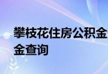 攀枝花住房公积金查询 攀枝花个人住房公积金查询