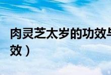 肉灵芝太岁的功效与作用（肉灵芝泡水喝的功效）