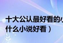 十大公认最好看的小说（值得推荐好看的小说什么小说好看）