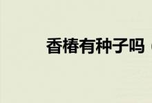 香椿有种子吗（香椿有没有种子）