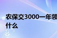 农保交3000一年领多少 农保和社保的区别是什么 