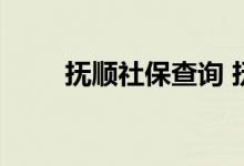 抚顺社保查询 抚顺个人社保卡查询