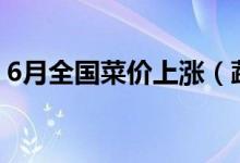 6月全国菜价上涨（蔬菜价格同比上涨5 2%）
