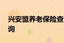 兴安盟养老保险查询 兴安盟个人养老保险查询